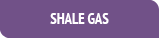 Shale Gas